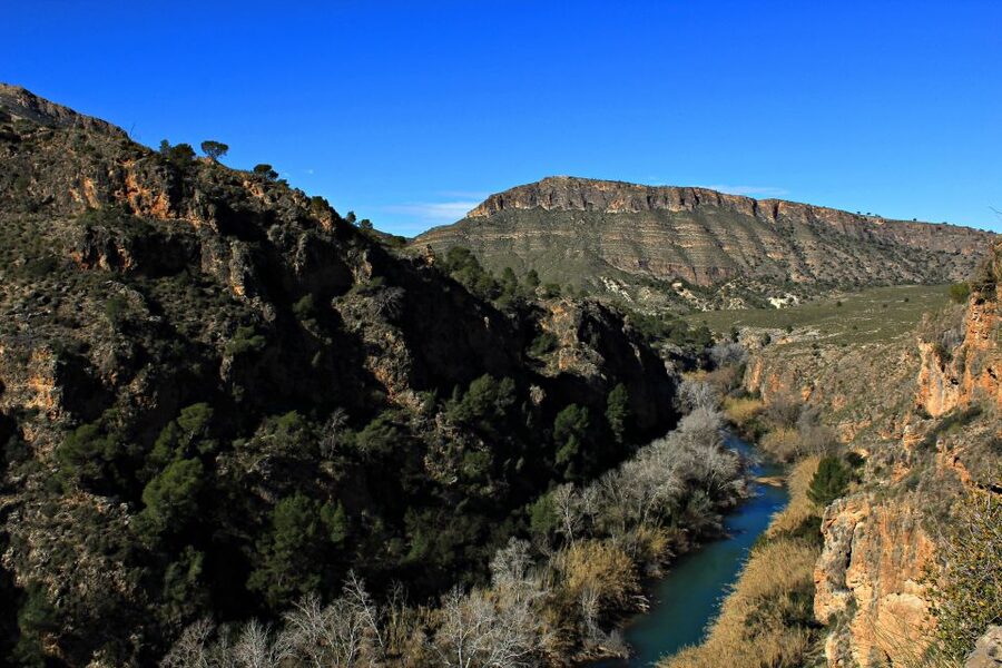 Calasparra: Almadenes Canyon Rafting with Caves and Rock Art - Who should book this experience