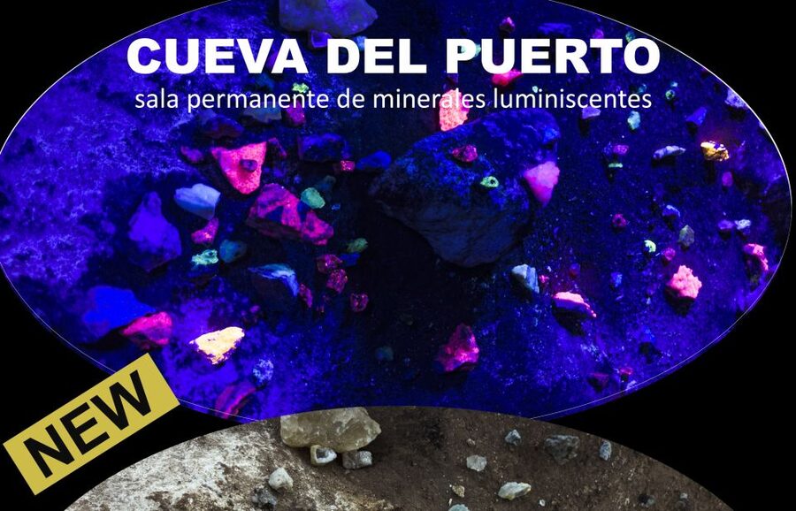 Calasparra: Cueva del Puerto Entry Ticket with Guided Tour - What the guides add to the visit