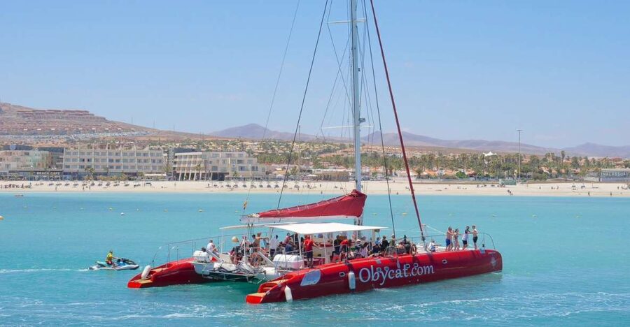Caleta de Fuste: Catamaran Sailing Experience - Sailing From Caleta de Fuste to Pozo Negro Bay