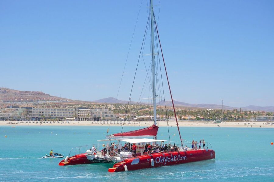 Caleta de Fuste: Catamaran Sailing Experience - Wildlife Along Fuerteventura’s Eastern Coast
