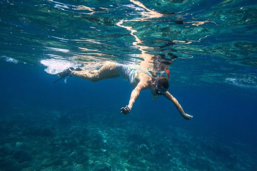 Caleta de Fuste: Catamaran Sailing Experience - The Pozo Negro Stop: Swim, Snorkel, or Stay Dry