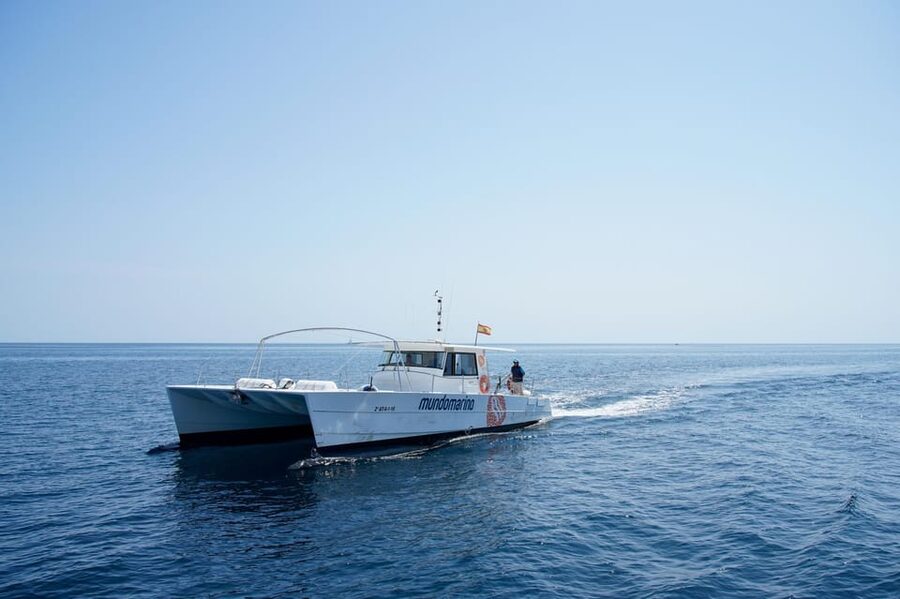 Calpe: Catamaran Tour with Optional Swim Stop - Choosing the short cruise or the swim version