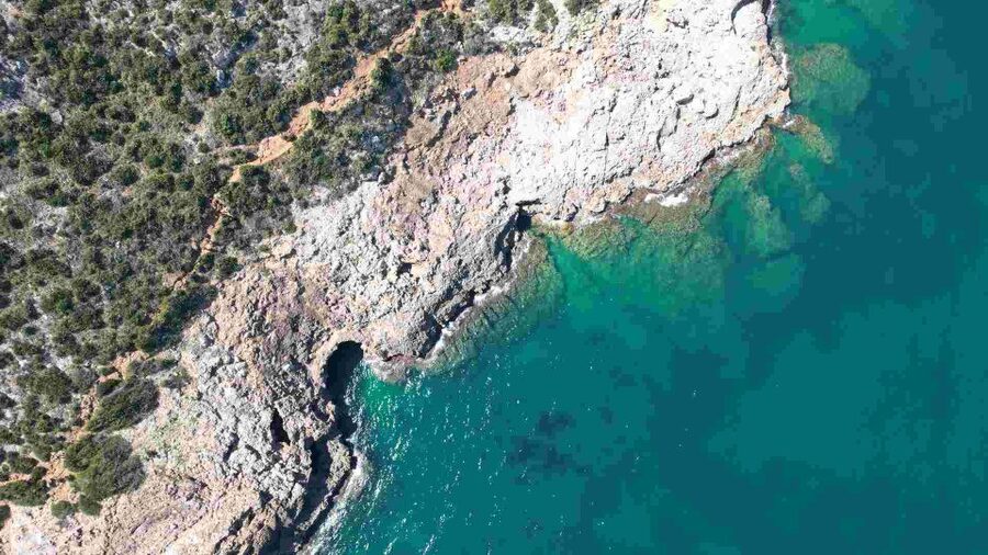 Calpe: Catamaran Tour with Optional Swim Stop - Sea views, birds, and marine life