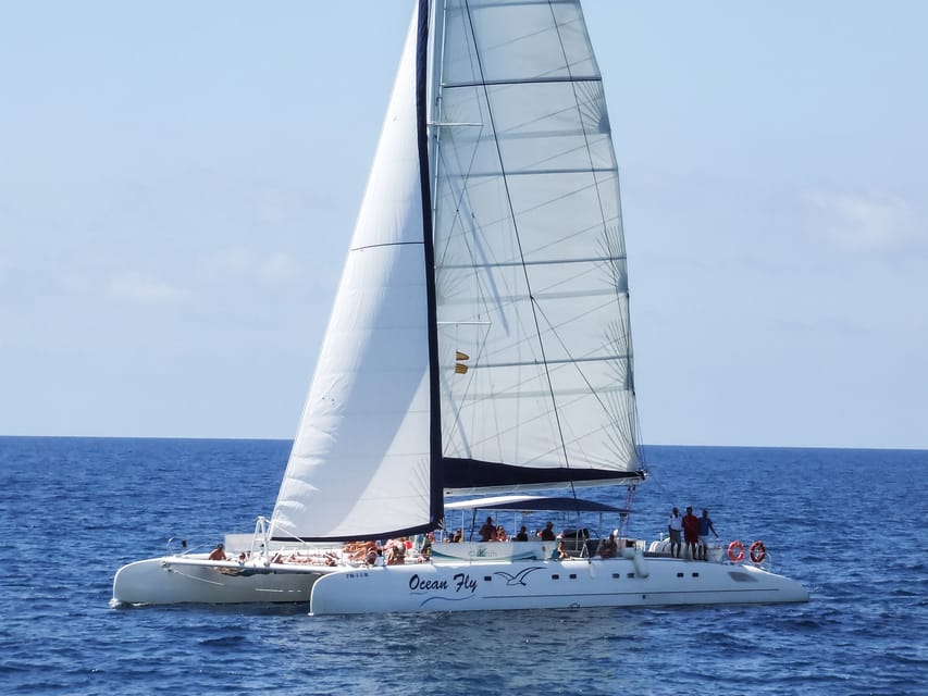 Cambrils: Costa Daurada Sail Catamaran Cruise - The Social Feel and Onboard Space