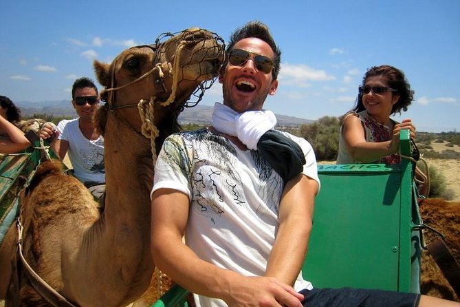 Camel Riding in Maspalomas Dunes - Why arriving early matters so much