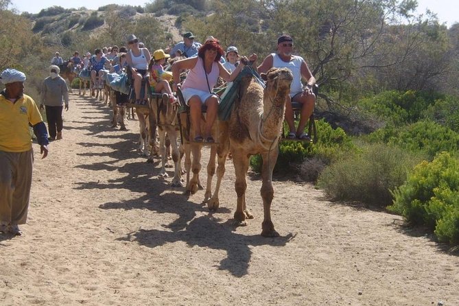 Camel Riding in Maspalomas Dunes - Who will enjoy this most?