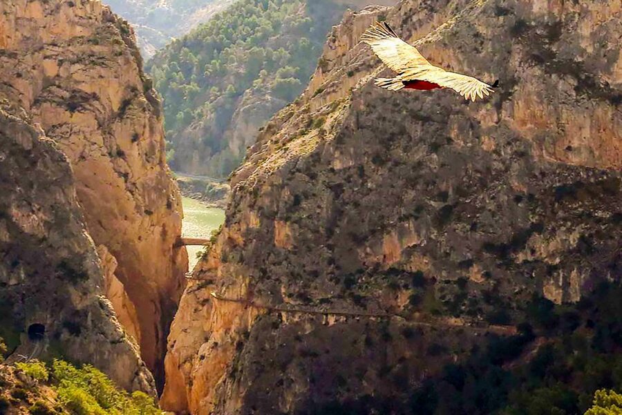 Caminito del Rey: Entry Ticket - The route from Ardales to El Chorro