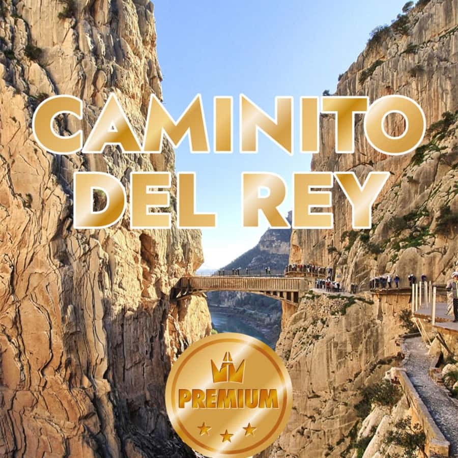 Caminito del Rey from Malaga all included - Key points to know before booking