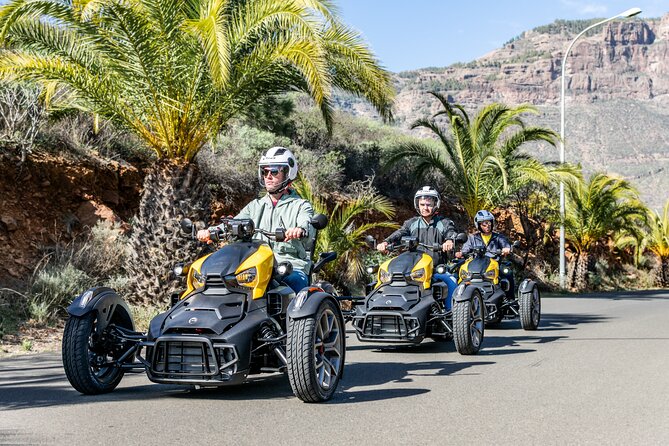 Can-am Ryker three wheels tricycle Mountain Tour (Maspalomas) - What to bring and how to plan your morning