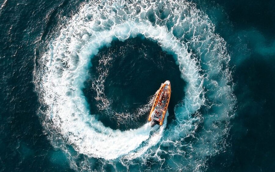Can Picafort: Dolphin Watching Boat Tour with Swimming - Leaving Can Picafort on a fast boat