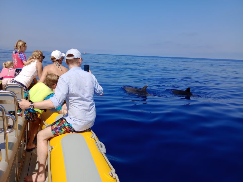 Can Picafort: Dolphin Watching Boat Tour with Swimming - Finding dolphins in their own sea
