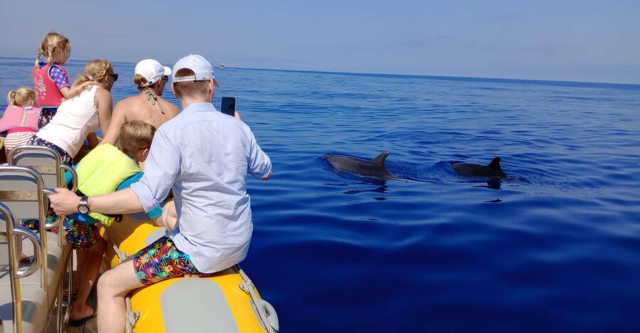 Can Picafort: Dolphin Watching Boat Tour with Swimming - A natural cave and the return along the coast