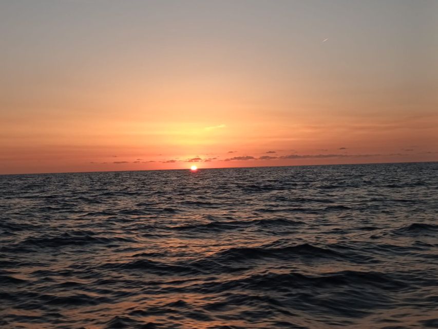 Can Picafort: Dolphin Watching Boat Tour with Swimming - Swimming and snorkeling when the sea allows