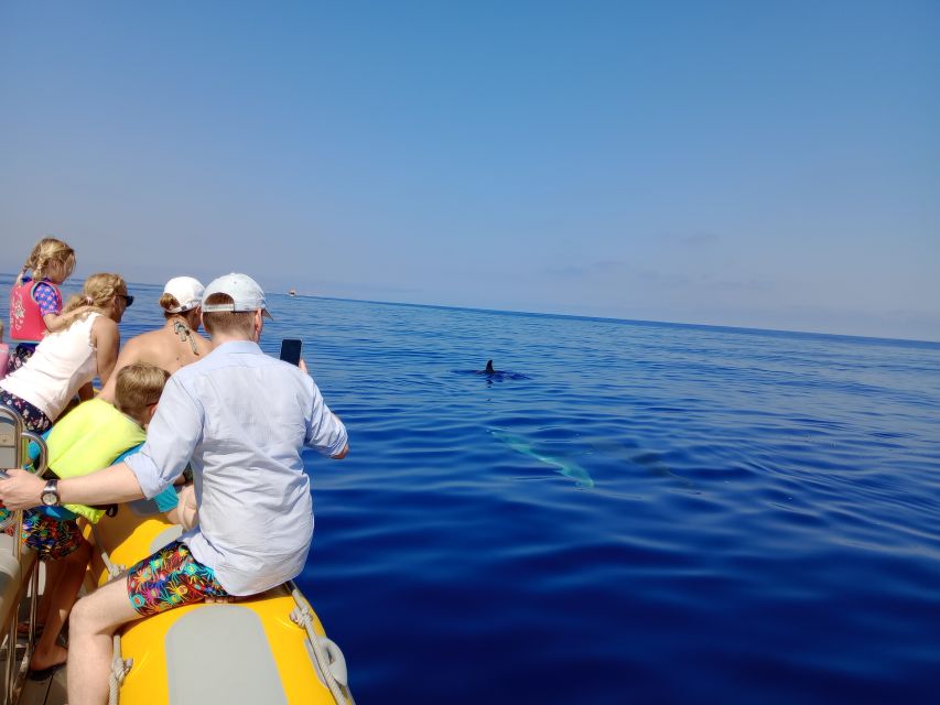 Can Picafort: Dolphin Watching Boat Tour with Swimming - Practical packing for a dry phone and comfortable ride