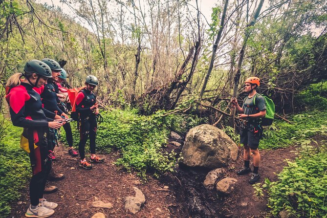 Canyoning with Waterfalls in the Rainforest - Small Groups ツ - Why this canyoning trip feels different from a normal forest walk