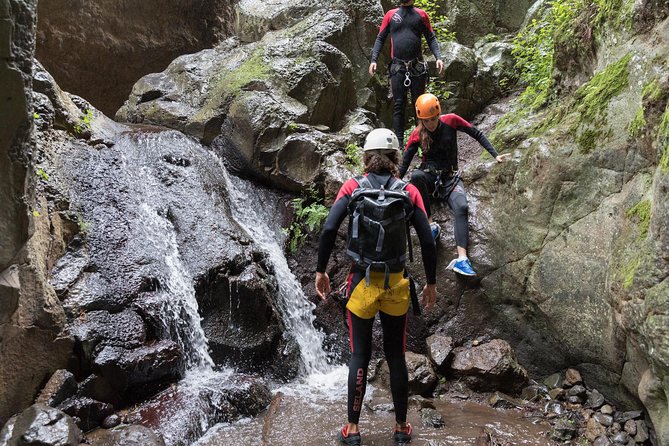 Canyoning with Waterfalls in the Rainforest - Small Groups ツ - Learning the ropes with a certified guide
