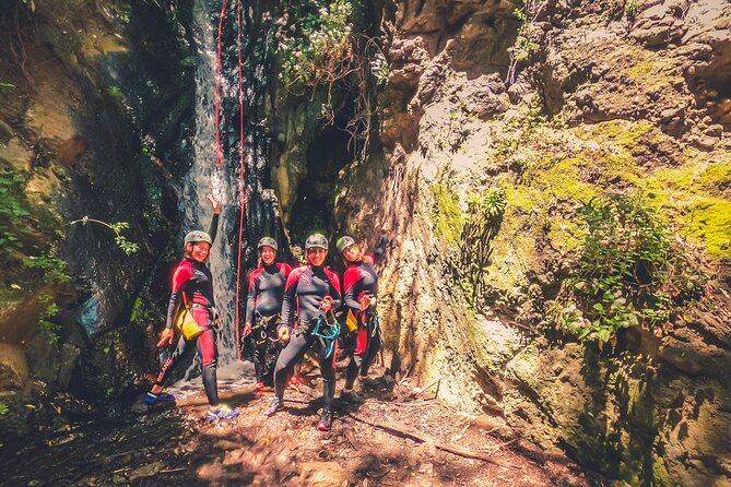 Canyoning with Waterfalls in the Rainforest - Small Groups ツ - What the canyoning sequence is likely to involve