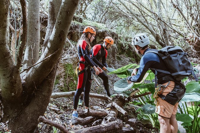 Canyoning with Waterfalls in the Rainforest - Small Groups ツ - Is $102.19 a fair price?