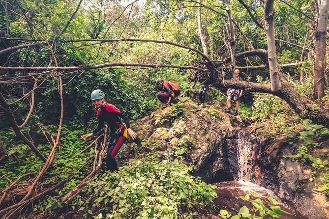 Canyoning with Waterfalls in the Rainforest - Small Groups ツ - Weather, safety, and the limits of the experience