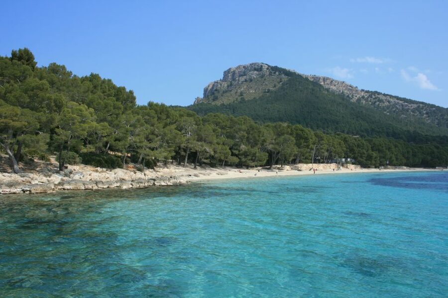 Cap de Formentor: Market, Beach, and Alcudia Tour - The mountain road to Cap de Formentor