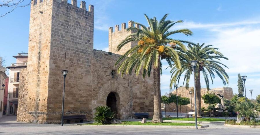 Cap de Formentor: Market, Beach, and Alcudia Tour - Port de Pollença and the possible boat connection