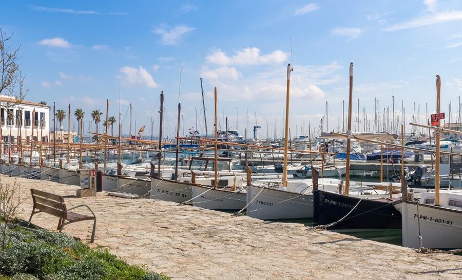 Cap de Formentor: Market, Beach, and Alcudia Tour - Who should book this day trip?