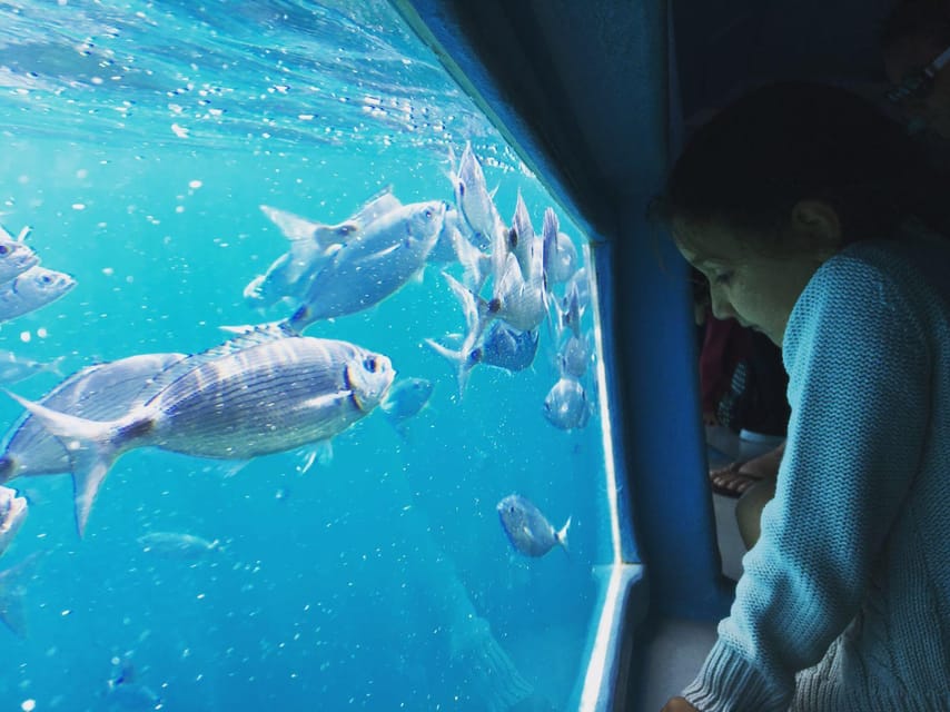 Cap Norfeu: Costa Brava Catamaran Trip with Underwater Views - What the underwater viewing is really like