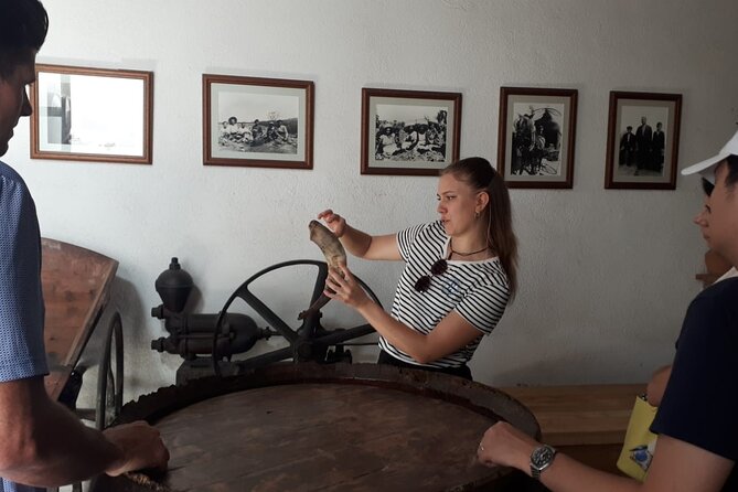 Cava tour to 3 family wineries with hotel pick-up - Leaving Barcelona for the Penedès vineyards