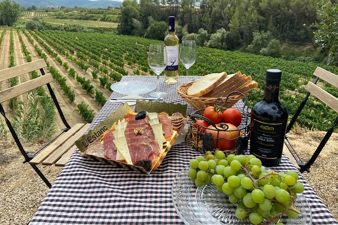Cava tour to 3 family wineries with hotel pick-up - What you actually taste during the day