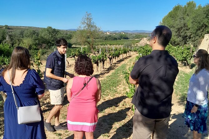 Cava tour to 3 family wineries with hotel pick-up - Timing, food, and practical details