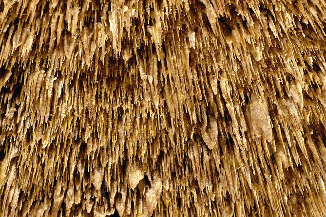 Caves of Drach Half-Day Tour with Boat Trip and Music Concert - Transport, meeting points, and timing