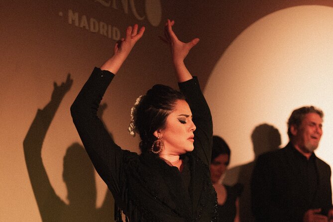 Centro Cultural Flamenco Madrid Admission Ticket - What happens during the 50-minute performance