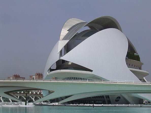 City of Arts and Sciences Private Segway Tour - What private touring adds