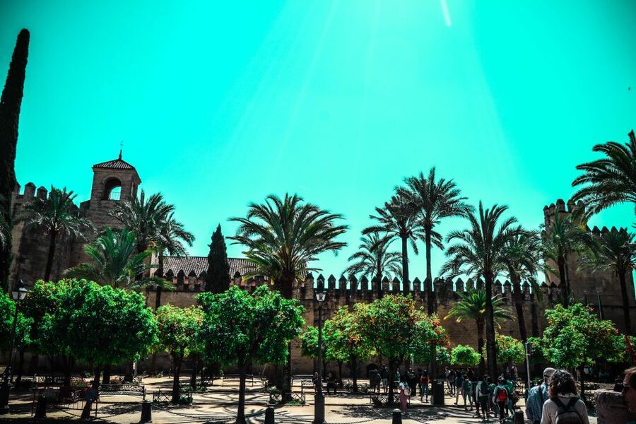 Cordoba: Alcázar de los Reyes Cristianos 1-Hour Guided Tour - The Columbus tower and the Atlantic plan