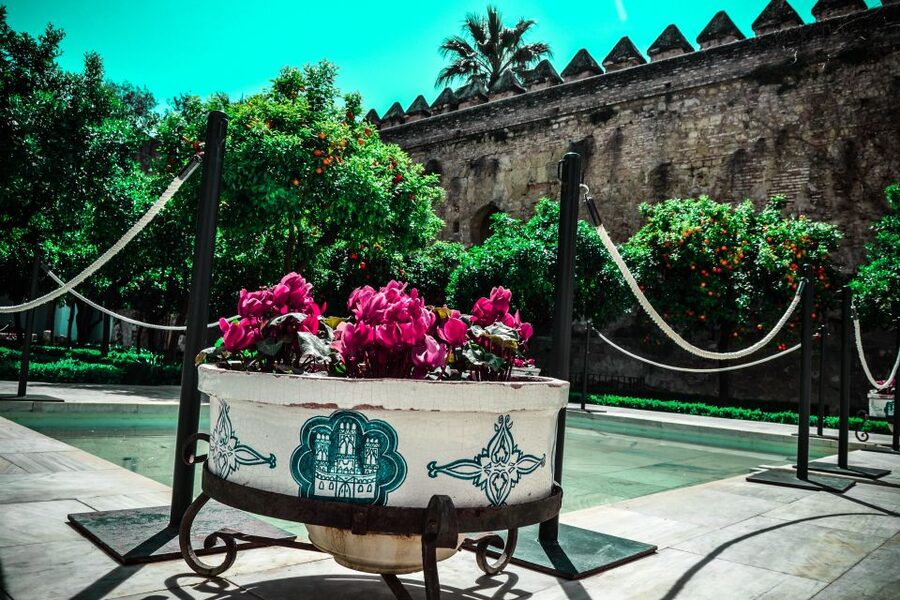 Cordoba: Alcázar de los Reyes Cristianos 1-Hour Guided Tour - Is $26 a fair price?
