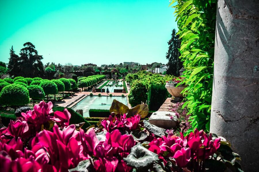 Cordoba: Alcázar de los Reyes Cristianos 1-Hour Guided Tour - Medieval chambers and the royal setting