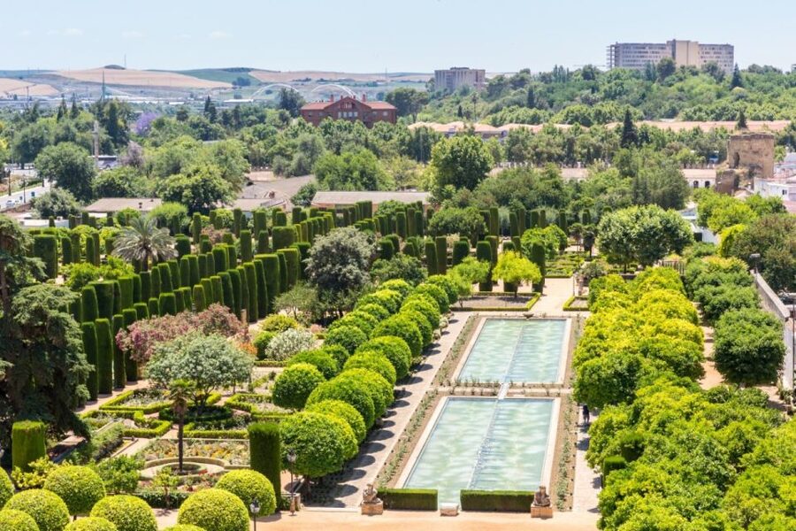 Cordoba: Alcazar of Christian Monarchs 1–Hour Guided Tour - Roman mosaics and the sarcophagus
