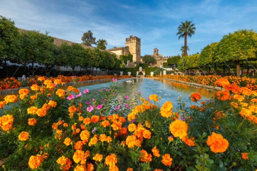 Cordoba: Alcazar of Christian Monarchs 1–Hour Guided Tour - Timing, pace, and the guide