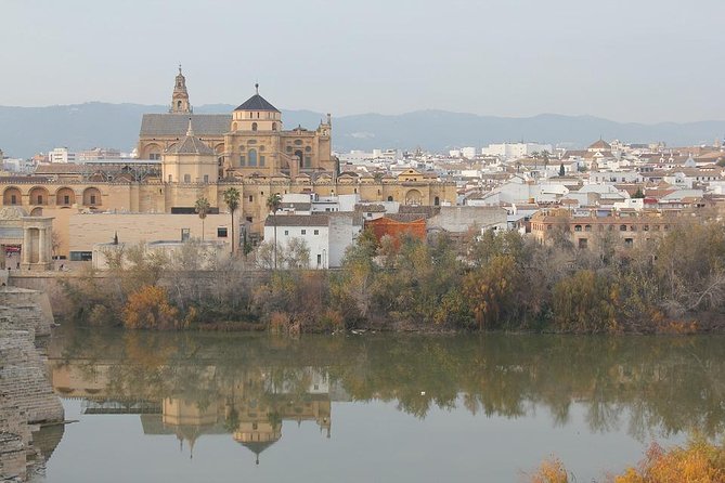 Cordoba & Carmona with Mezquita, Synagoge & Patios from Seville - San Basilio and Córdoba’s flower-filled patios