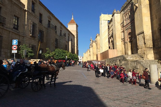Cordoba City Tour with Mosque-Cathedral from Seville - Transport, group size, and the pace