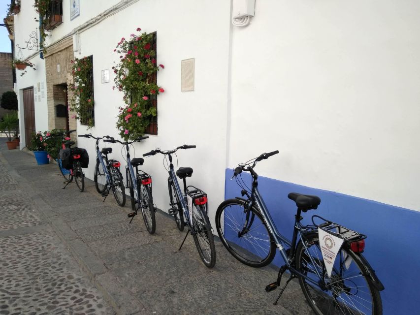 Córdoba Daily Highlights Bike Tour - Viana Palace and the Royal Stables area