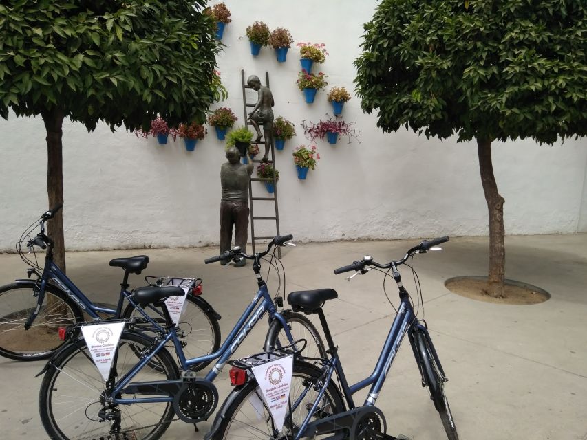 Córdoba Daily Highlights Bike Tour - The guide’s storytelling and local advice