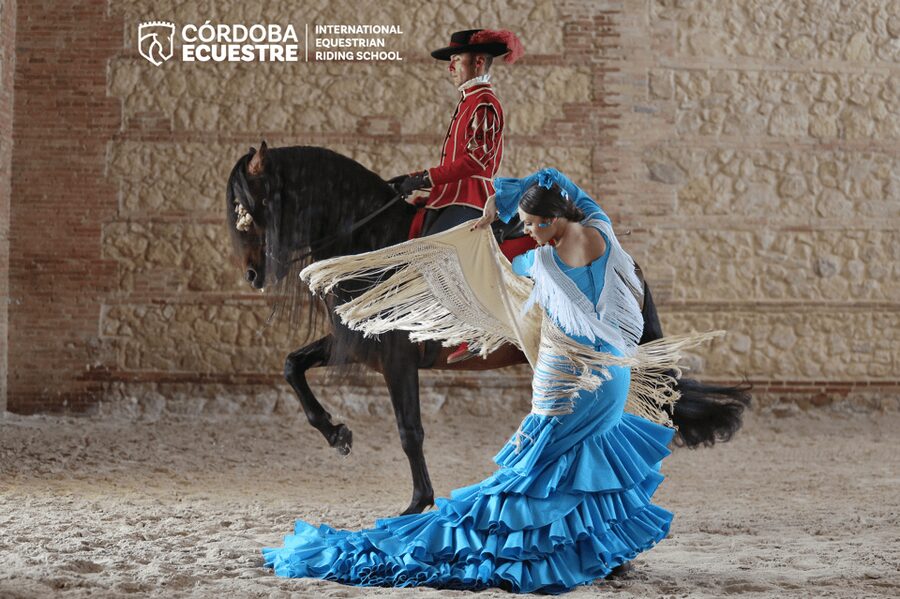 Cordoba: Equestrian Show General Entry - The Andalusian Horses and Their Training