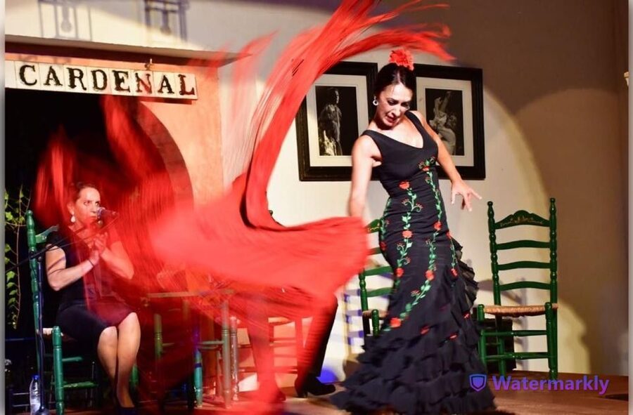 Córdoba: Flamenco Show Ticket with Drinks - What the $29 Ticket Buys You