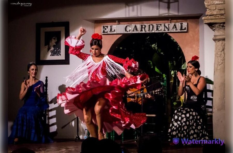 Córdoba: Flamenco Show Ticket with Drinks - Dancers Who Tell a Story Without Much Explanation