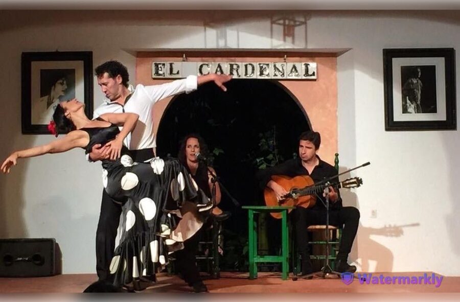 Córdoba: Flamenco Show Ticket with Drinks - Your Included Drink and Optional Tapas