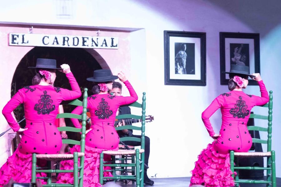 Córdoba: Flamenco Show Ticket with Drinks - How the 80-Minute Format Works for an Evening in Córdoba