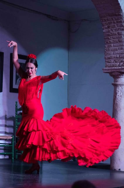 Córdoba: Flamenco Show Ticket with Drinks - Who Will Get the Most from This Show