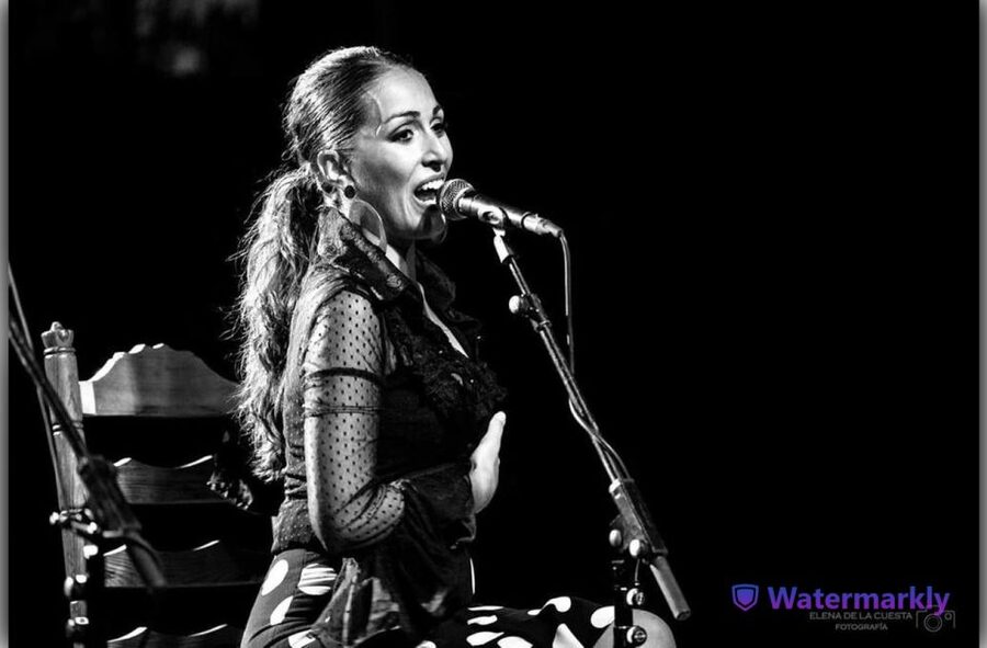 Córdoba: Flamenco Show Ticket with Drinks - Seven Artists and Three Flamenco Traditions