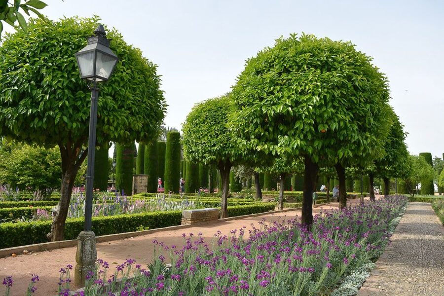 Cordóba: Gardens & Fortress of Catholic Monarchs Guided Tour - Who will like this Córdoba tour?